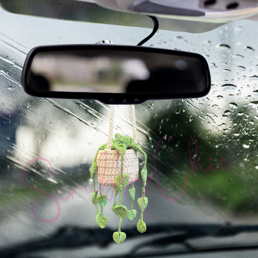 Crochet Mini Money Plant